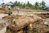 Ini Dugaan Biang keladi Banjir Sumatera