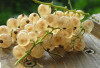 Buah White Currant Manis, Segar, dan Kaya Manfaat