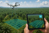 AI Memetakan Kebun: Penggunaan Citra Satelit dan Kecerdasan Buatan untuk Analisis Lahan Sawit