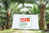  Sertifikasi ISPO 2025: Apakah Petani Sawit Siap Naik Kelas?