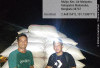 Panen Raya Wilayah DI Manjuto Kiri Dimulai, Harga Gabah Rp6.500/Kg