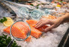 Tips Memilih Salmon Segar dan Berkualitas: Panduan untuk Konsumen Cerdas yang Mendapatkan Nilai Maksimal!