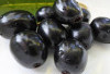 Jenis Buah dan Sayuran yang di temukan didunia, Ini 7 Daftar Buah yang Dulu Pernah Ada Tapi Sekarang Lenyap