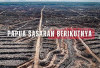 Papua, Sasaran Penghancuran Hutan Berikutnya