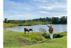  Bukit Sidihoni Savana Menawan di Jantung Pulau Samosir