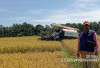 Maju Selangkah, Petani Selagan Raya Gunakan Mesin untuk Panen Padi