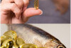 Omega-3: Rahasia Kulit Sehat dan Bercahaya