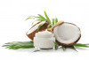 Inovasi Olahan Kelapa: Lebih dari Sekadar Santan, Kreasi Lezat dan Beragam dari Ujung Akar Hingga Daun!