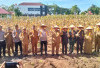 Panen Jagung, Sinergitas Perkuat Ketahanan Pangan 
