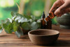 Minyak Eucalyptus Harum Sejuk, Khasiat Berlimpah