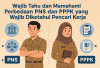 Wajib Tahu dan Memahami Perbedaan PNS dan PPPK yang Wajib Diketahui Pencari Kerja