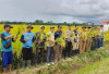 Padi Ketahanan Pangan Desa Sumber Makmur Dipanen, Dapat Hasil Melimpah 